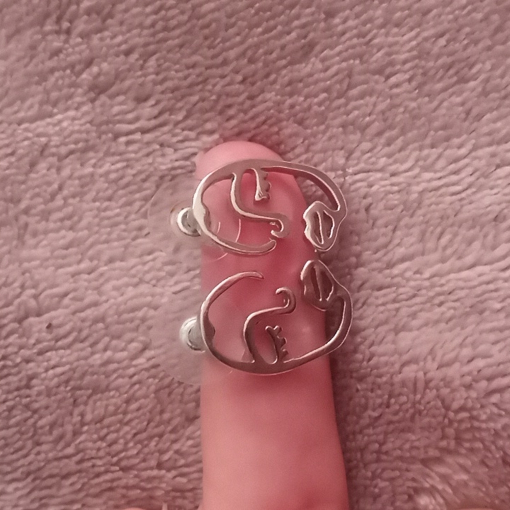 Sterling silver earrings